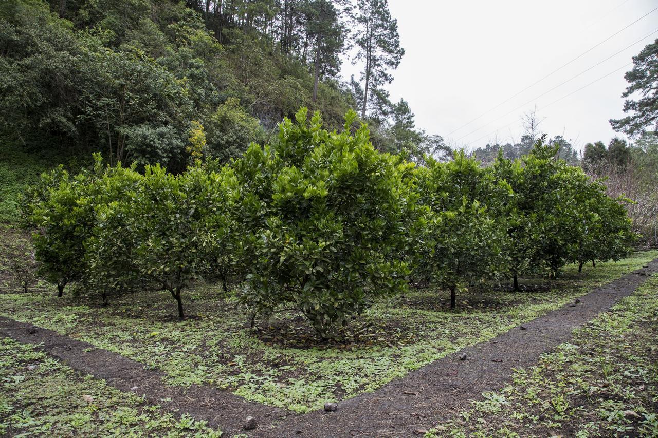 Casa Kirva Hotel Cobán 外观 照片