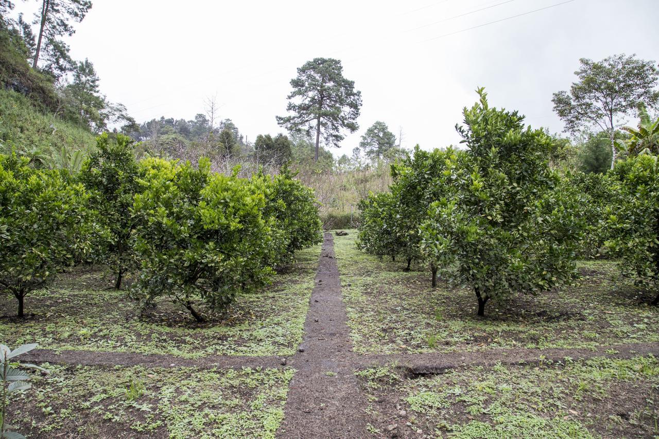 Casa Kirva Hotel Cobán 外观 照片
